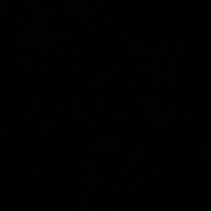 Meet your Posher, Ludmilla